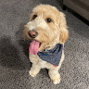 Meet your Posher, Gary